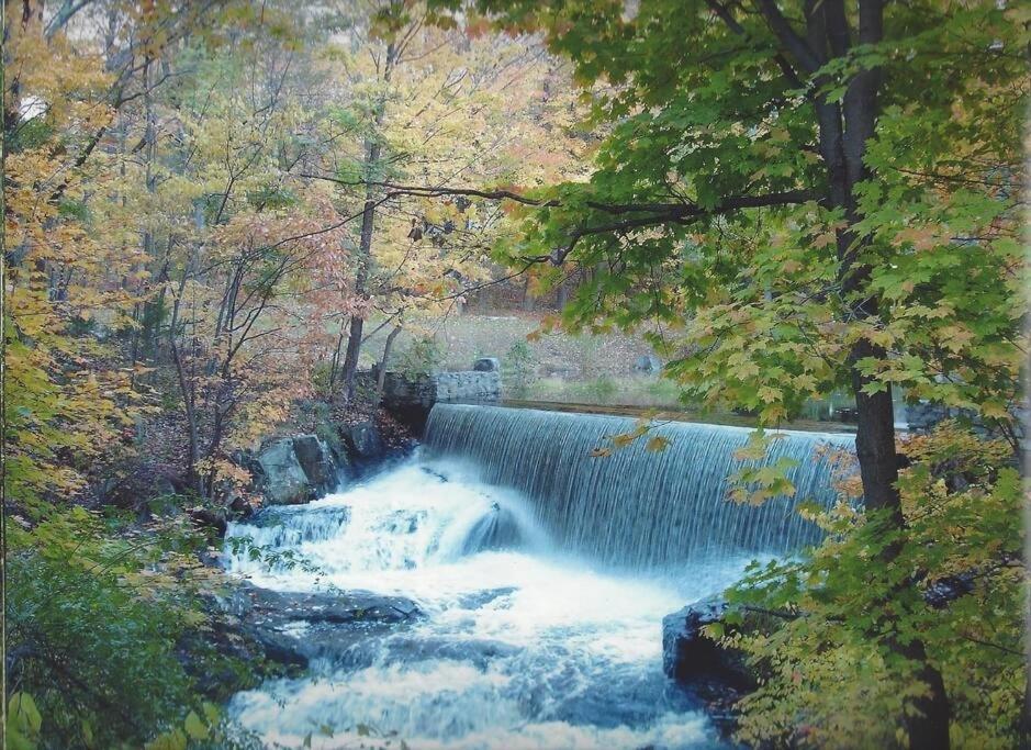 Cottage At Millpond Falls - A Romantic Escape ウォリック エクステリア 写真