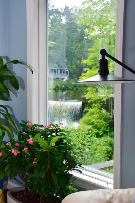 Cottage At Millpond Falls - A Romantic Escape ウォリック エクステリア 写真